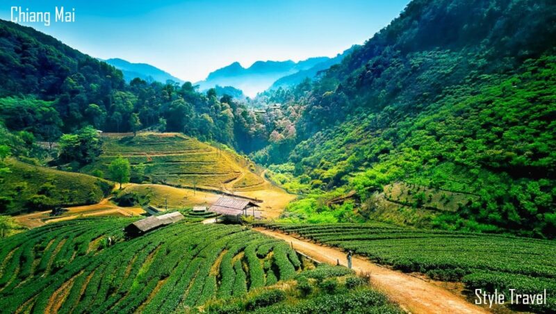 Chiang Mai