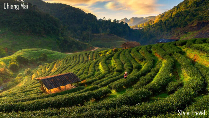 Chiang Mai Stopover