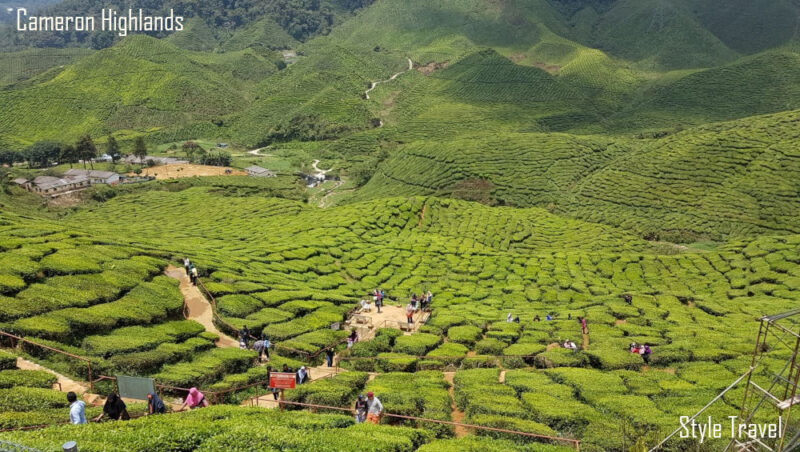 Malaysia Tours