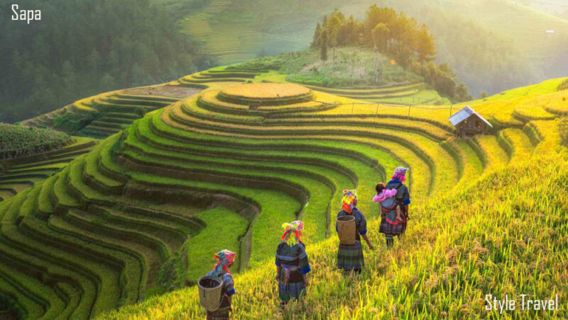 Grand Vietnam