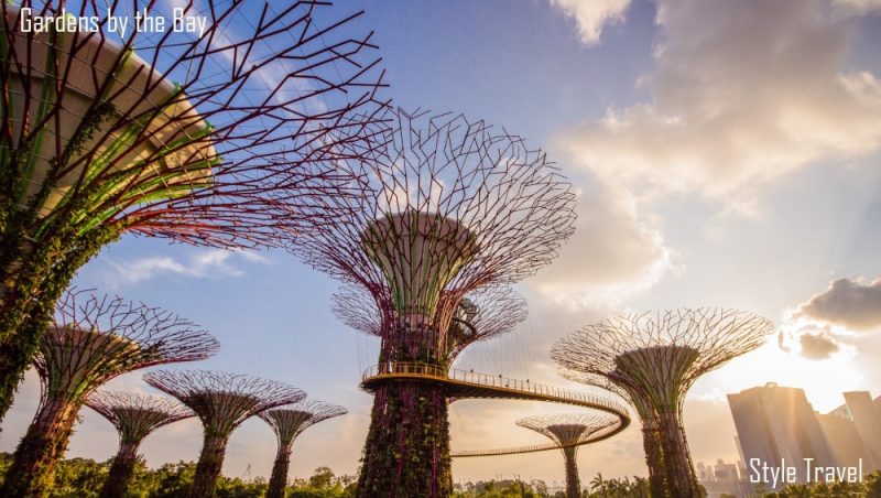 Glance of Singapore & Malaysia