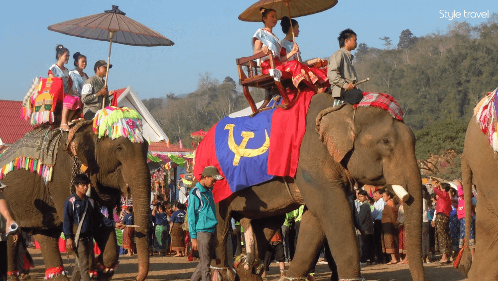 The Elephants Festival