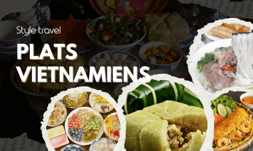 Plats vietnamiens